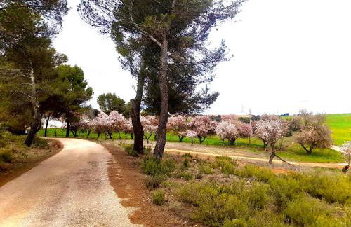 Dehesa Vieja Casa Rural - Foto 12