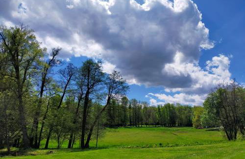 Rüstzeitenheim Sonnenschein - Foto 15