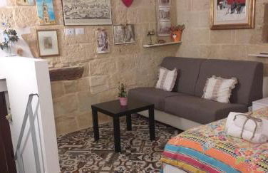 Le camelie - Foto 45