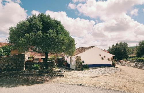 Casa do Professor - Foto 26