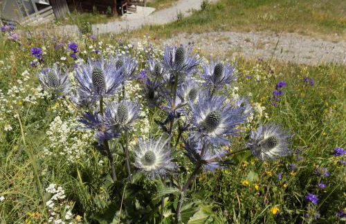 Appart 4 p pied des pistes Risoul 1850 - Foto 29