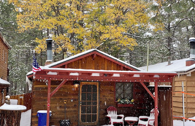 Sugar Pine - Foto 12