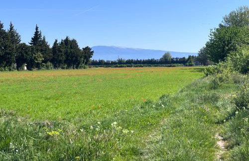 Gîte The Butterfly - 1 bedroom and mezzanine - Photo 21