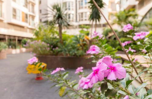 NEW VIP piscina y gimnasio - Foto 43