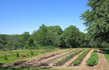 Les Jardins des 3 Provinces- Gîte - Foto 29