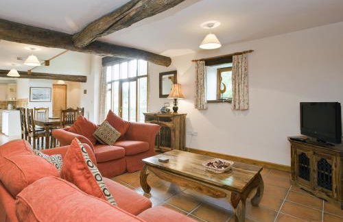 Sorrel - E4321 - Foto 4