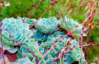 Apartment Vana - Photo 50