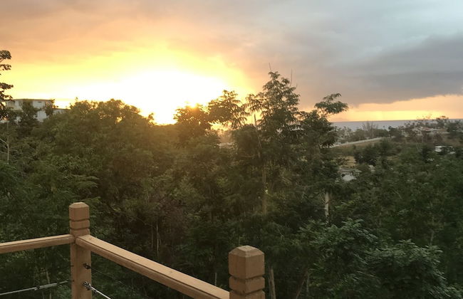 Mango Hill Retreat - Photo 20