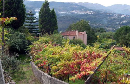 Family Secrets Douro - Foto 19