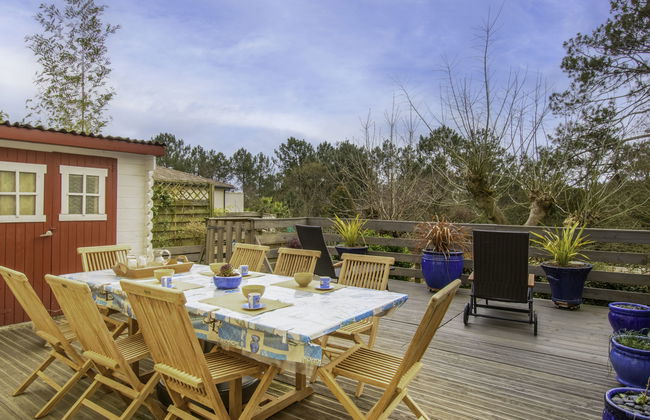 Dans la forêt de Pin - Foto 19