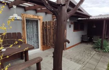 Agroturystyka Przylesie - Foto 33