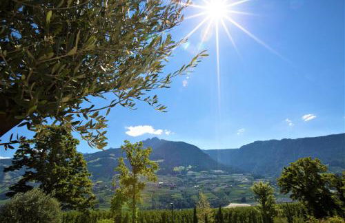 Villa Residence Franziskus - Foto 46