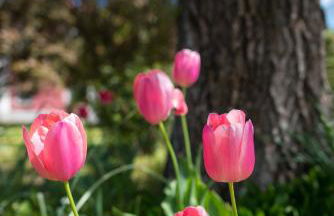 Agriturismo Tenuta Polledro - Photo 14