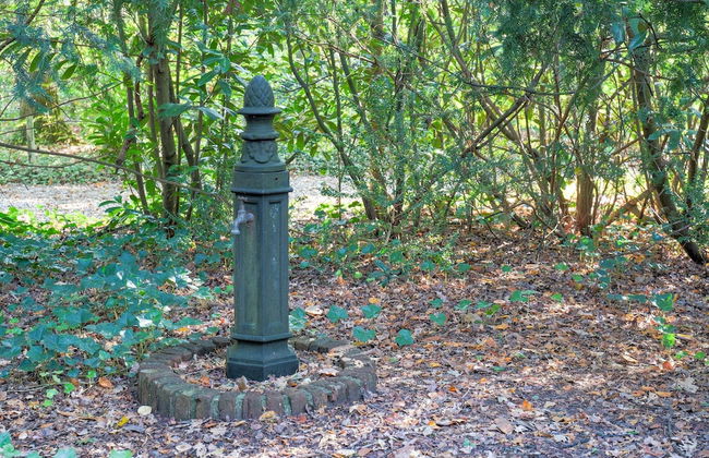 Holiday Home in Zorgvlied Near Drents - Foto 30