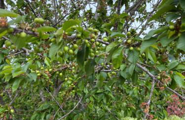 Villa Marinezzi - Foto 57