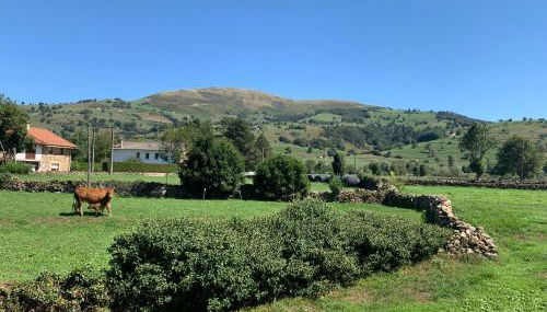 Casa Amalia - En el corazón verde de Cantabria!! - Foto 5