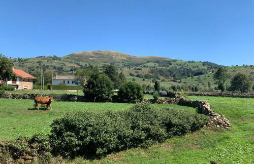 Casa Amalia - En el corazón verde de Cantabria!! - Foto 5