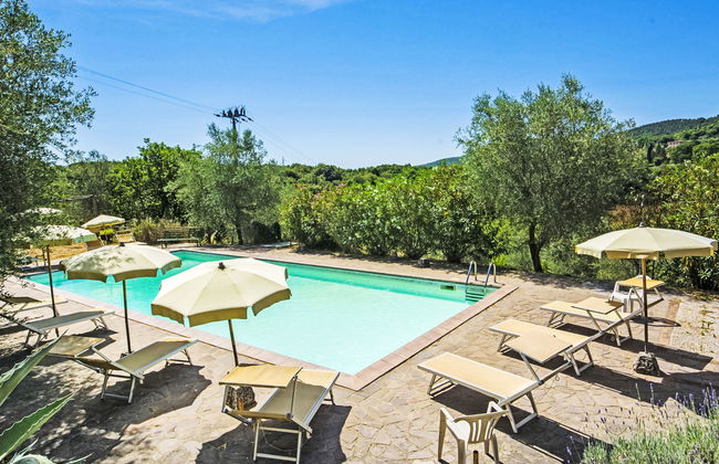 Il Ligustro - Foto 3