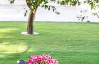 Garden Apartment in Amarynthos II - Photo 29