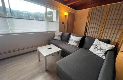 Large Studio LIGHT & VIEWS - Beautiful with Deck - Message Direct - Foto 5