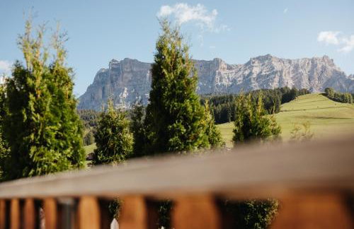 Ciasa Willy App Lavarella - Foto 21