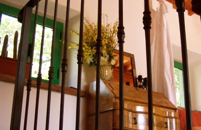 Antico Silbule - Photo 26