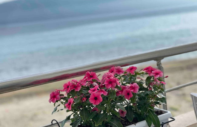 Seaview Apartments Rental Vlore - Photo 5