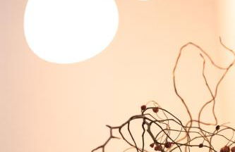 Casa del Borgo "Terra & Fuoco" sul Lago Maggiore - Foto 13