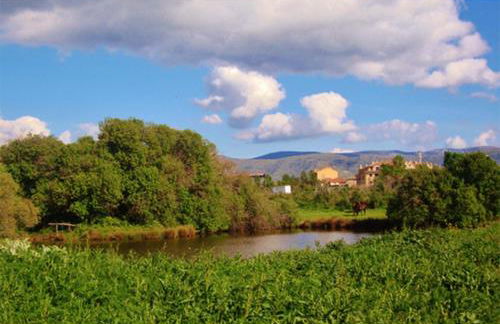 Casa Rural Alquería de Segovia - Foto 48