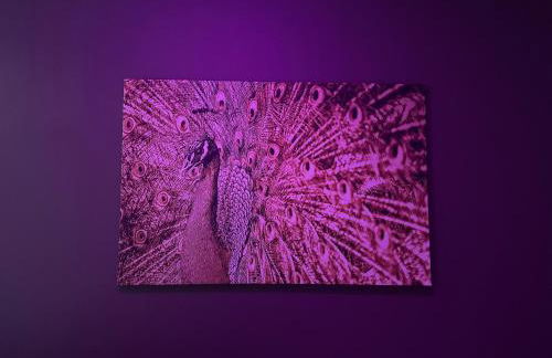 Exil DeLuxe - Foto 27