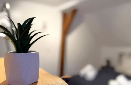 Natur-Apartment am Großen Arber Netflix WIFI - Foto 60