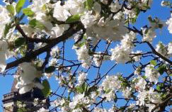 Bobrowe zacisze - Foto 11