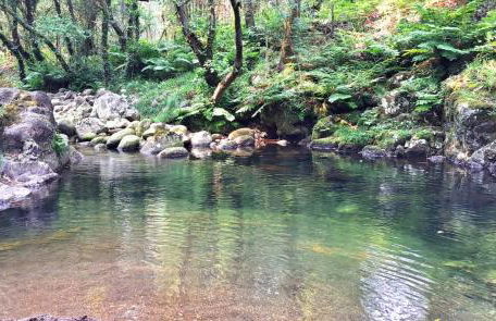 Campomuiños - Foto 31