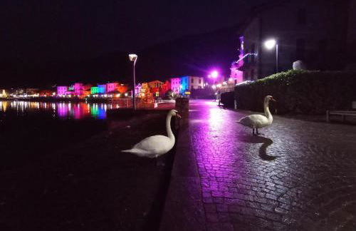 CLUA Holiday House - Photo 63