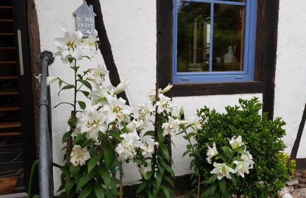 Ferienhaus Romantica in Bruttig-Fankel für 2 Personen - Foto 25