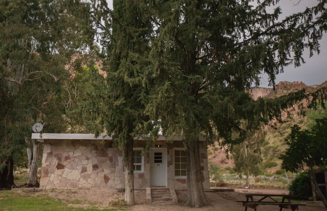 Bosque Divino Cabañas & Suites - Foto 47