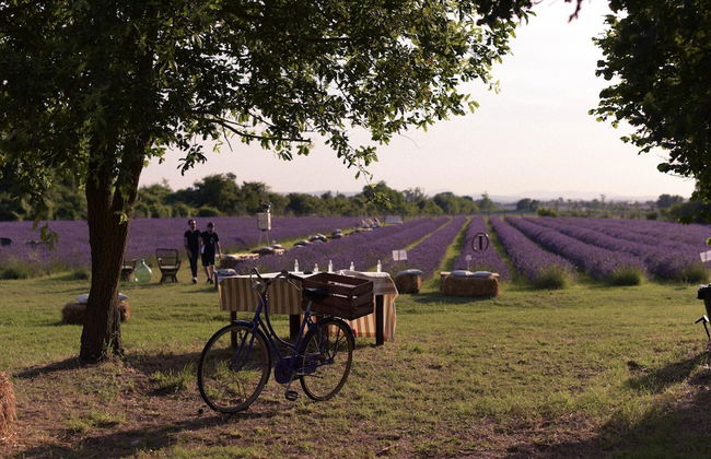 Belvilla by OYO Cotogno - Foto 20