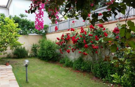 Giulia's House - Foto 6