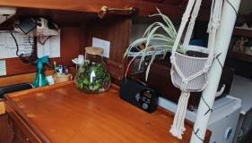 Sailboat land and sea, vegetated - Foto 2