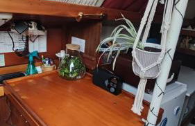 Sailboat land and sea, vegetated - Foto 2