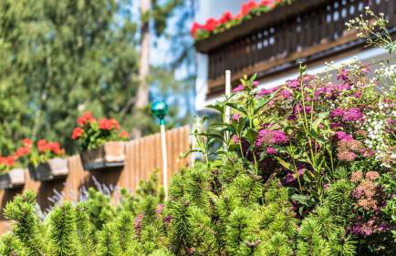 Residence Lärchenhäusl - Foto 25