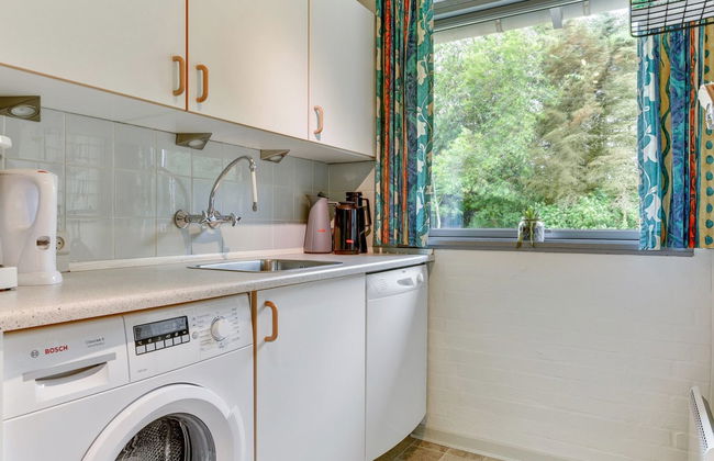 "Björk" - from the sea - Foto 29