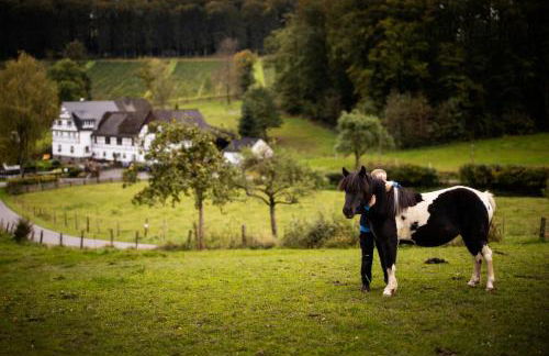 Ferienhof Schade - Foto 13