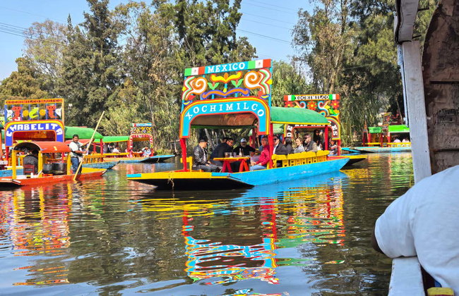 Giro in trajinera a Xochimilco - Foto 10