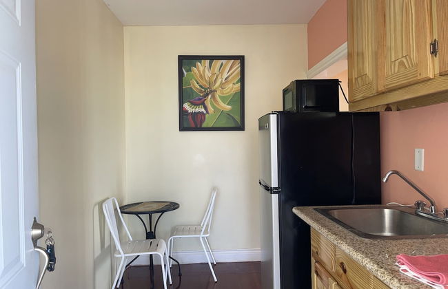 Skyline Suites, Queen, Ocean Views 1 Bedroom Condo by RedAwning - Foto 5