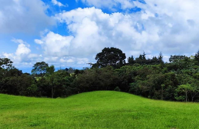 Casa campestre a 15 minutos de Salento - Photo 15