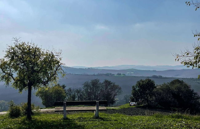 Amazing Apartment in Belvedere Ostrense With Garden - Foto 45