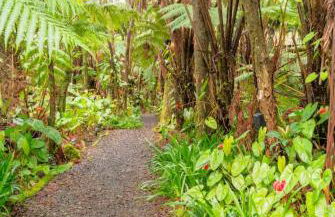 Kilauea iki- Hale Kumu La'au - Foto 12