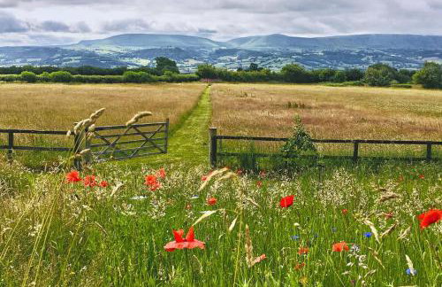 4 Bed in Llanigon oc-t33091 - Foto 29