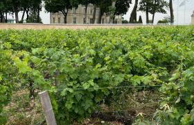 Alice’s house, Maison & Grange à 10km de l’Océan - Photo 32